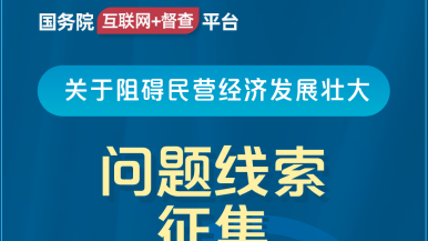 肥婆尻逼国务院“互联网+督查”平台公开征集阻碍民营经济发展壮大问题线索